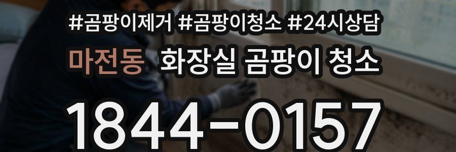 마전동 화장실 곰팡이 청소