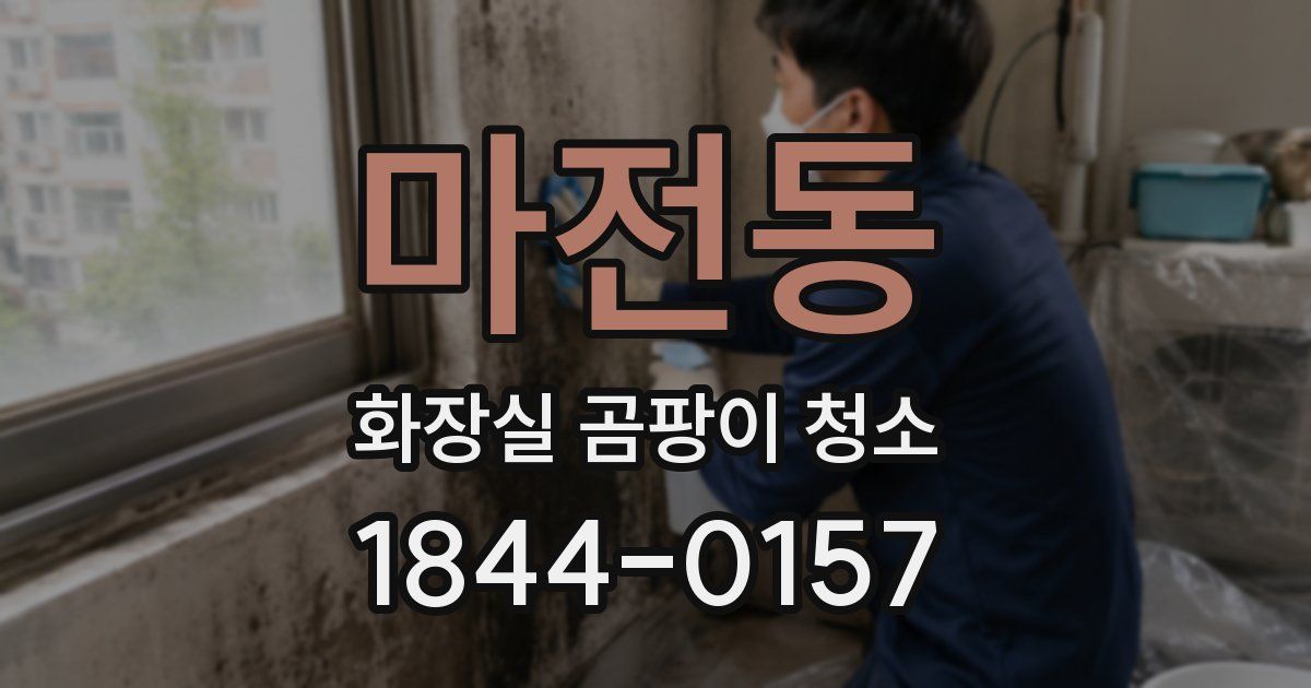 마전동 화장실 곰팡이 청소
