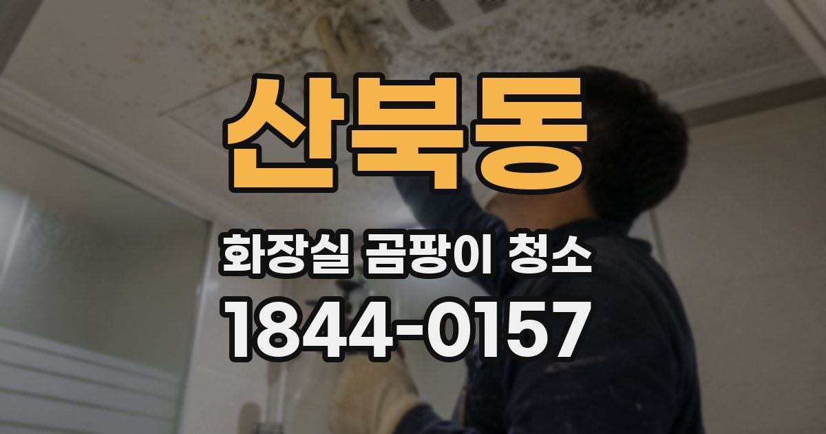 산북동 화장실 곰팡이 청소