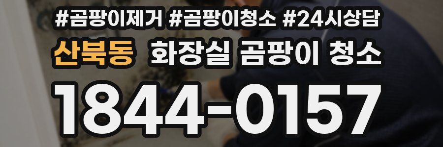 산북동 화장실 곰팡이 청소