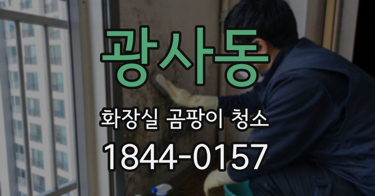 광사동 화장실 곰팡이 청소