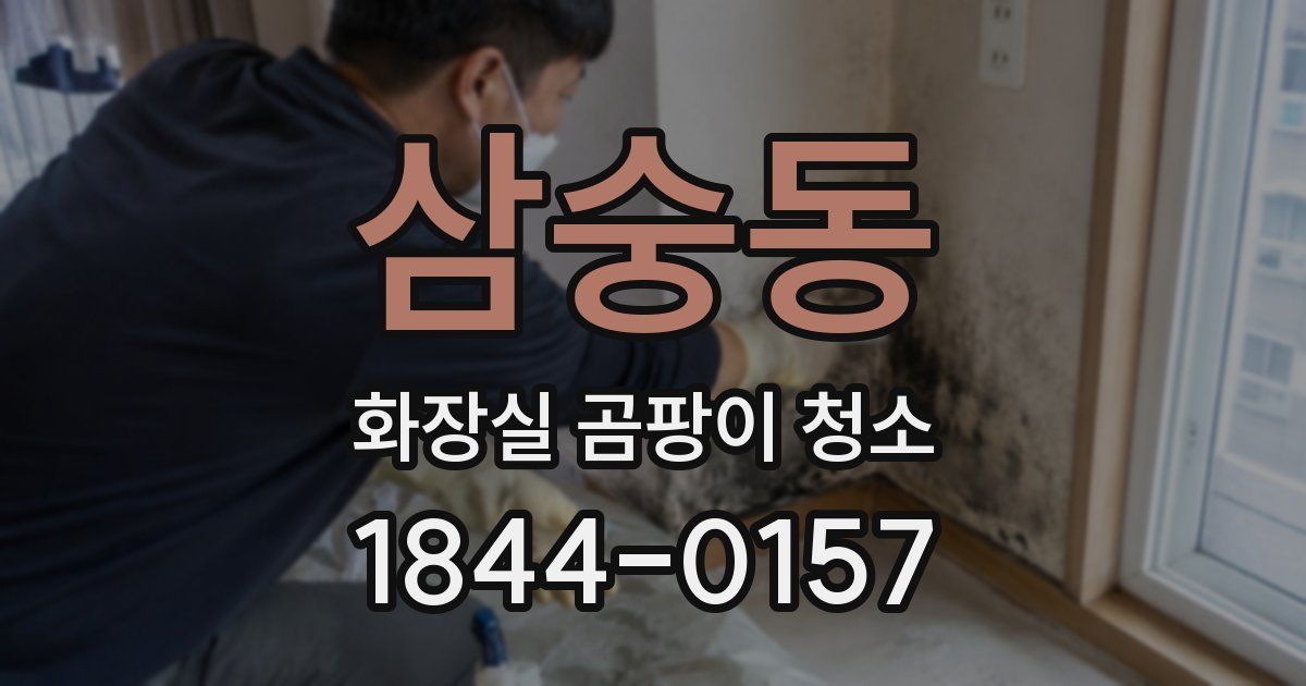 삼숭동 화장실 곰팡이 청소