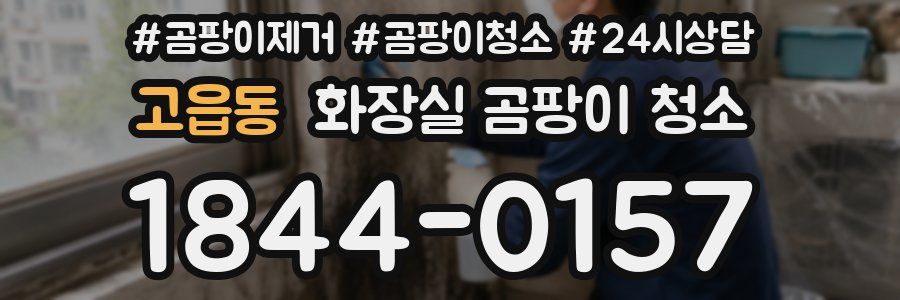 고읍동 화장실 곰팡이 청소
