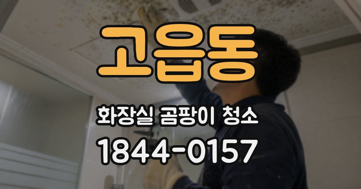 고읍동 화장실 곰팡이 청소