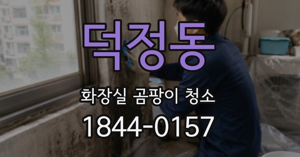 덕정동 화장실 곰팡이 청소