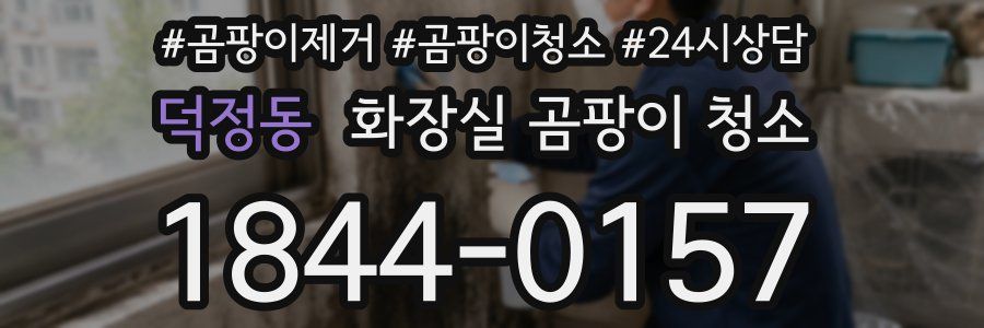 덕정동 화장실 곰팡이 청소
