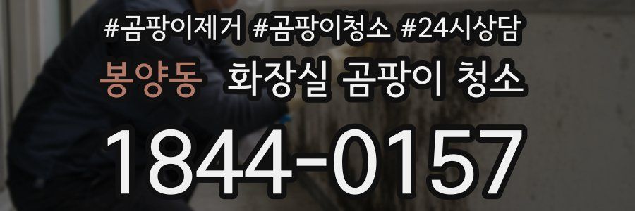 봉양동 화장실 곰팡이 청소