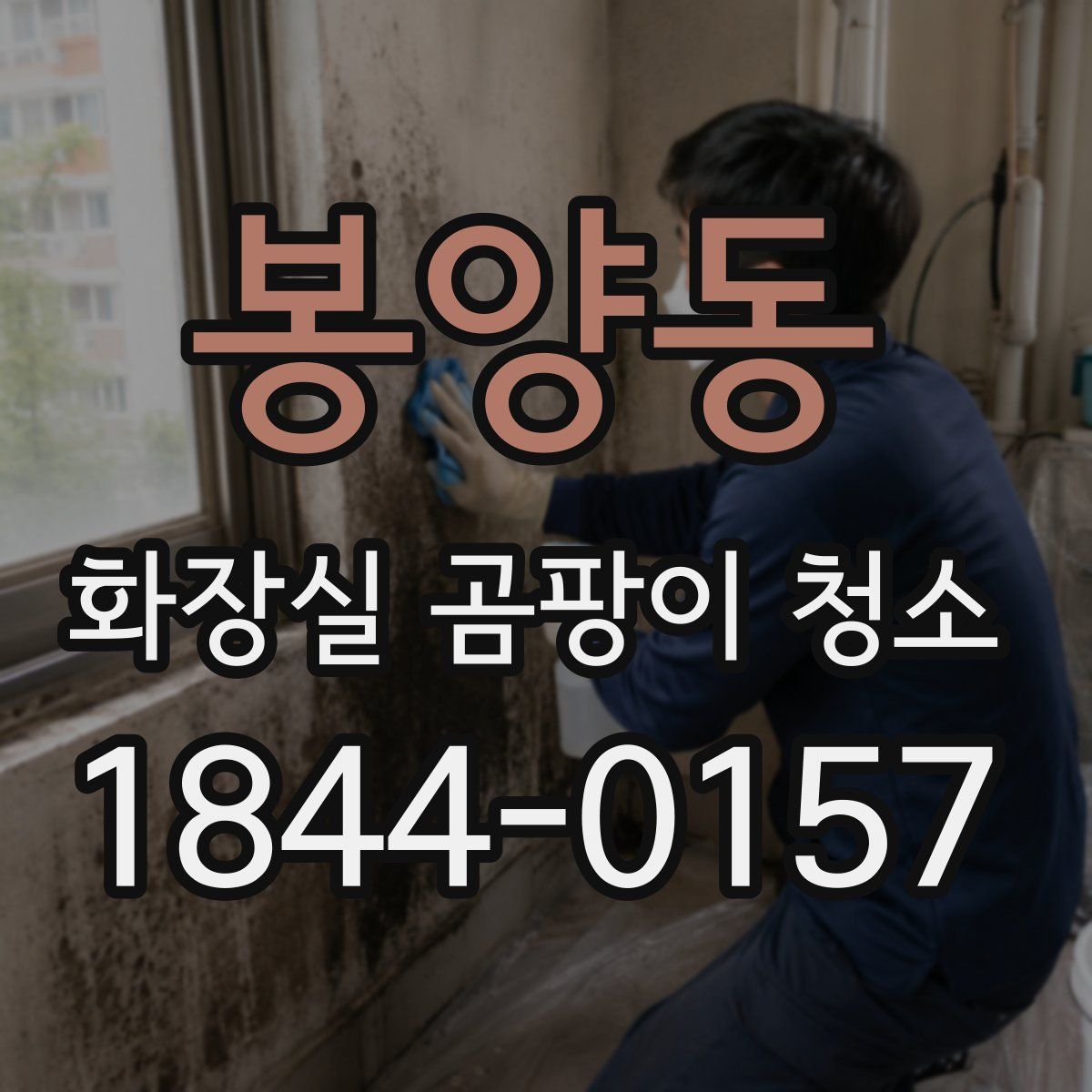 봉양동 화장실 곰팡이 청소