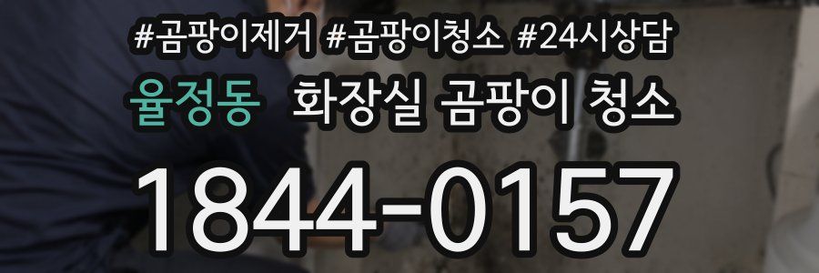 율정동 화장실 곰팡이 청소