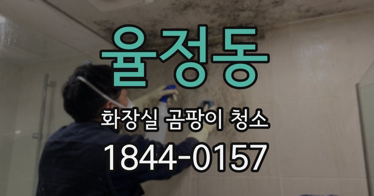 율정동 화장실 곰팡이 청소