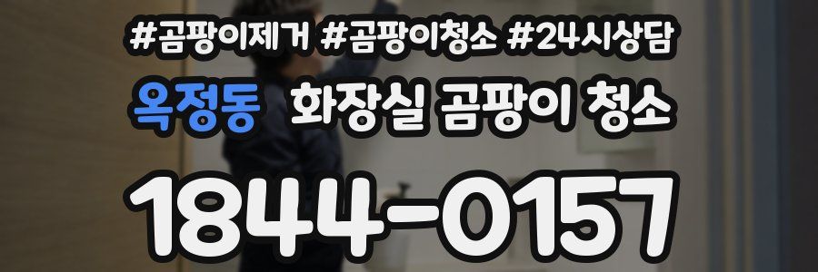 옥정동 화장실 곰팡이 청소