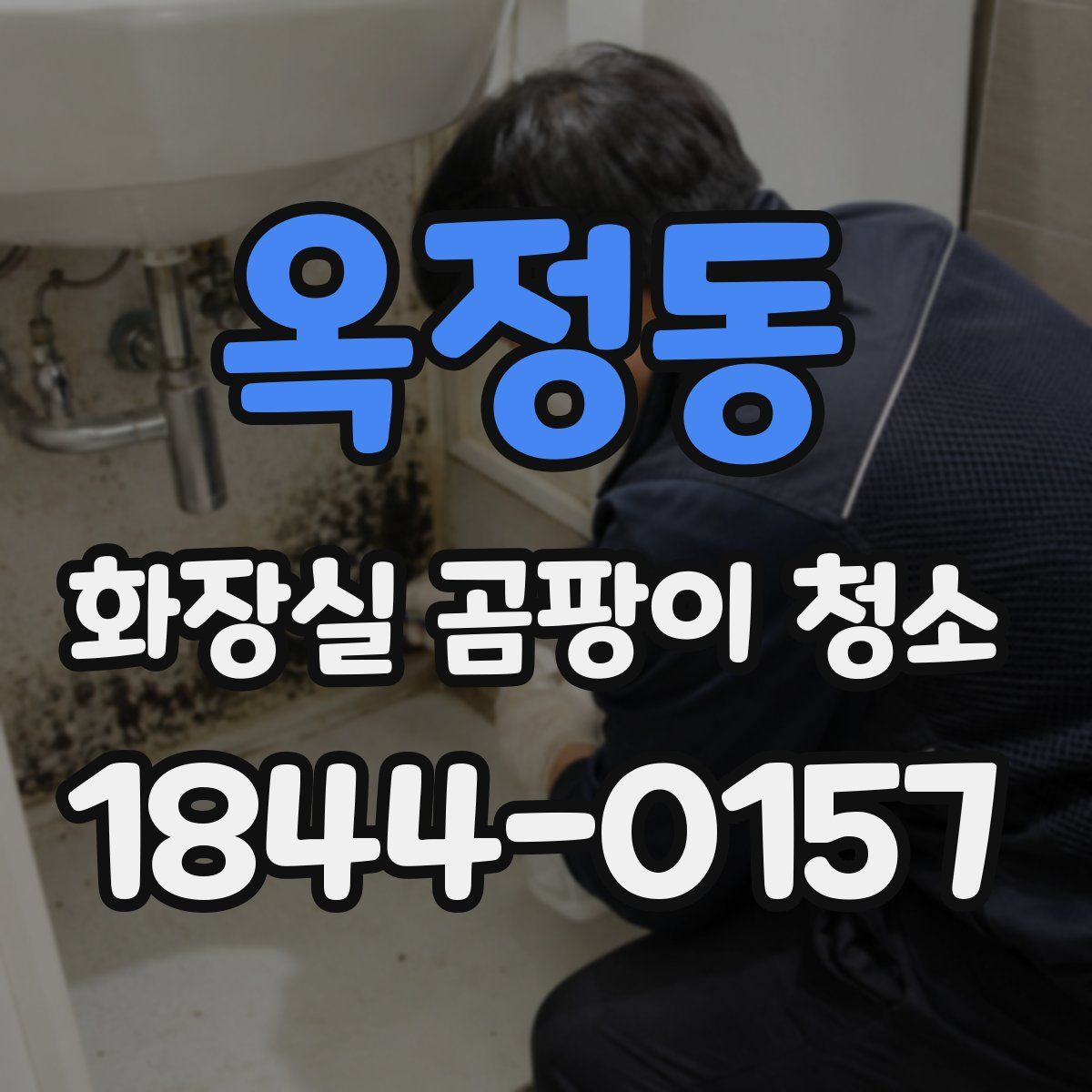 옥정동 화장실 곰팡이 청소