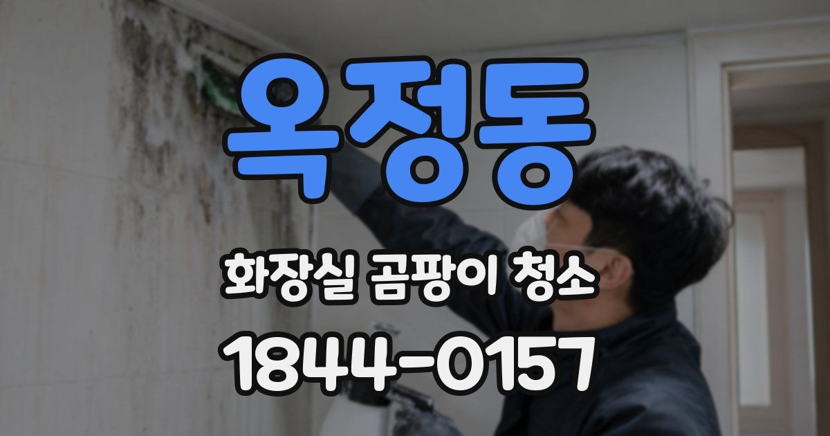 옥정동 화장실 곰팡이 청소