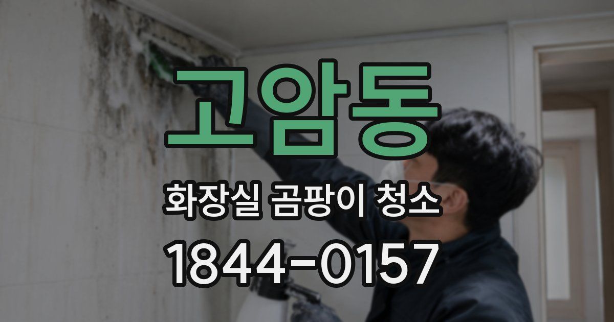 고암동 화장실 곰팡이 청소