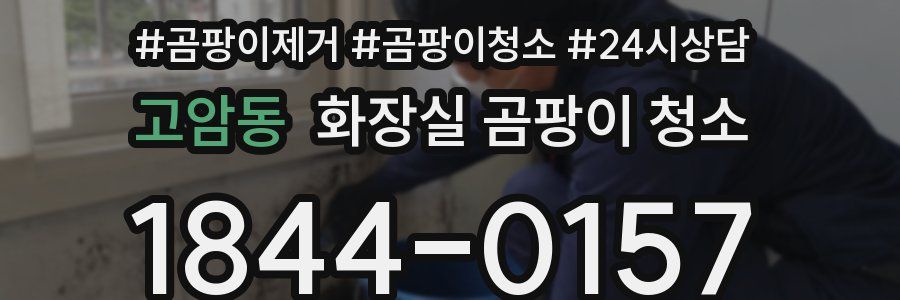 고암동 화장실 곰팡이 청소