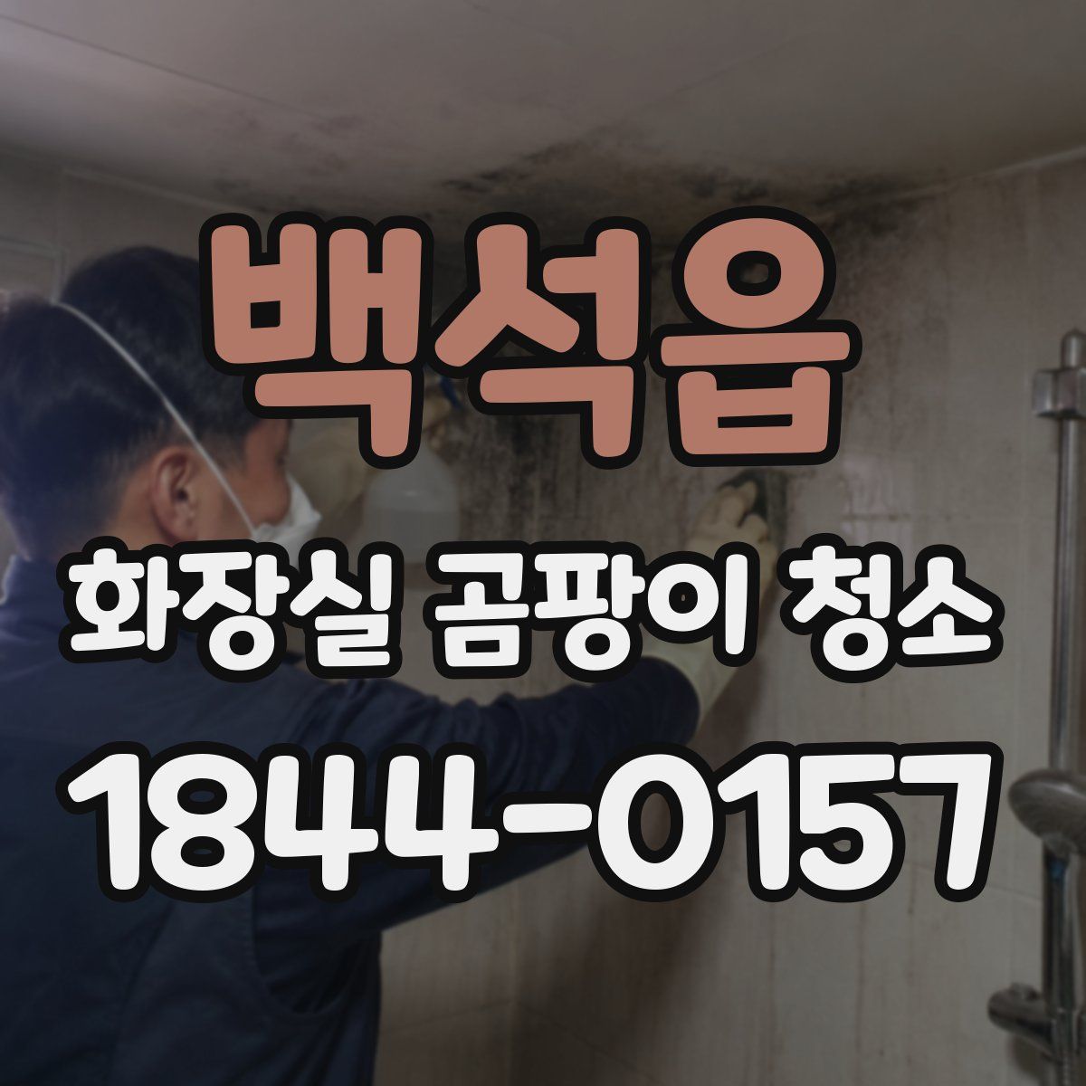 백석읍 화장실 곰팡이 청소