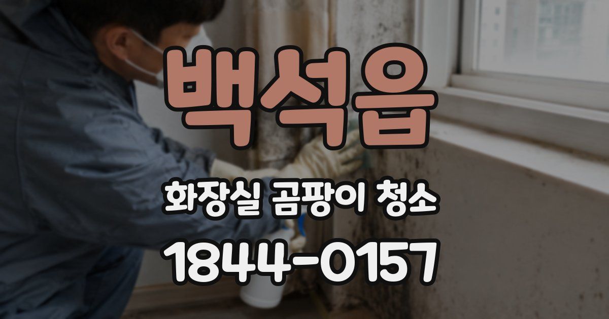 백석읍 화장실 곰팡이 청소