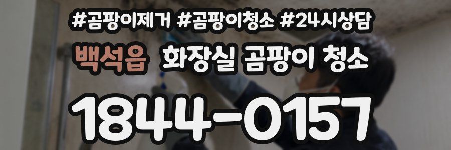 백석읍 화장실 곰팡이 청소