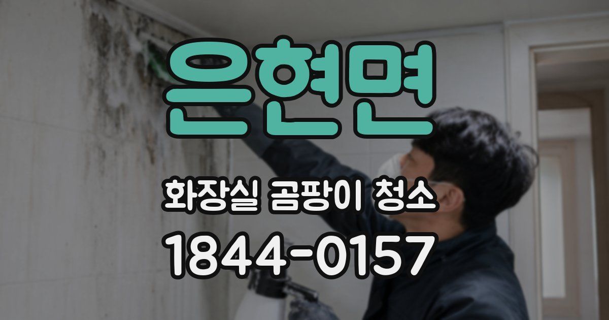 은현면 화장실 곰팡이 청소