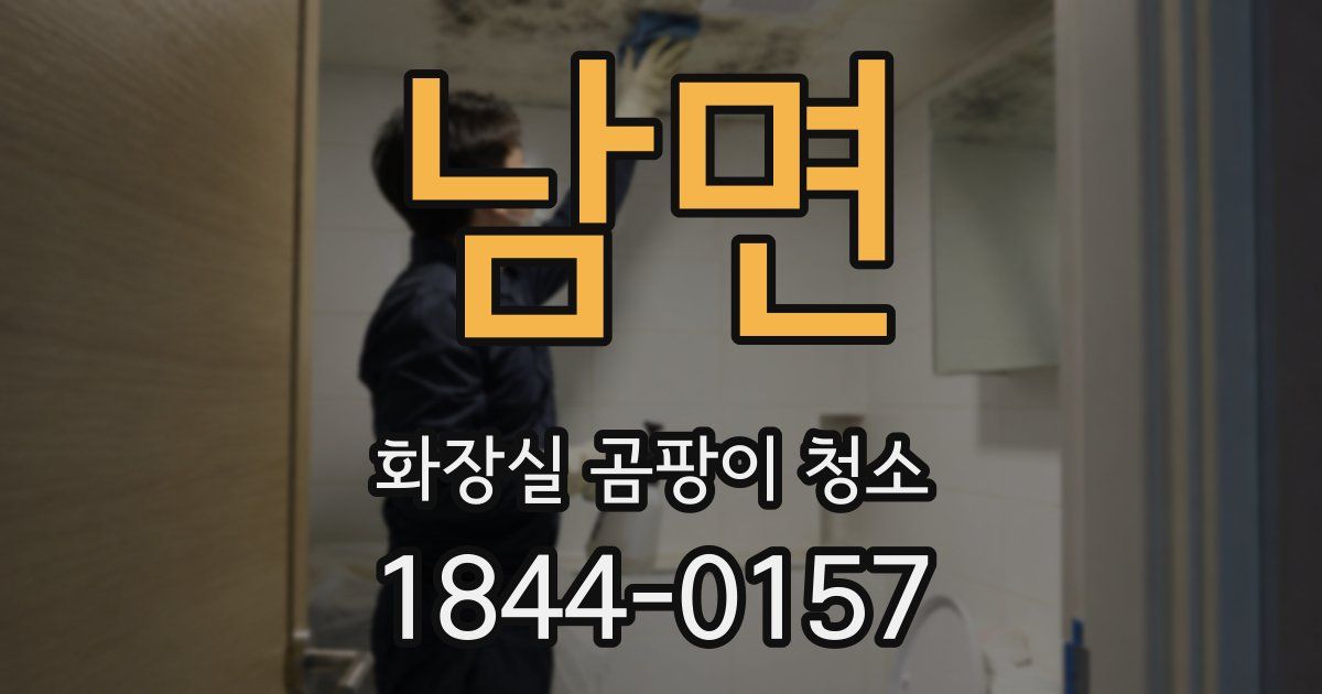 남면 화장실 곰팡이 청소