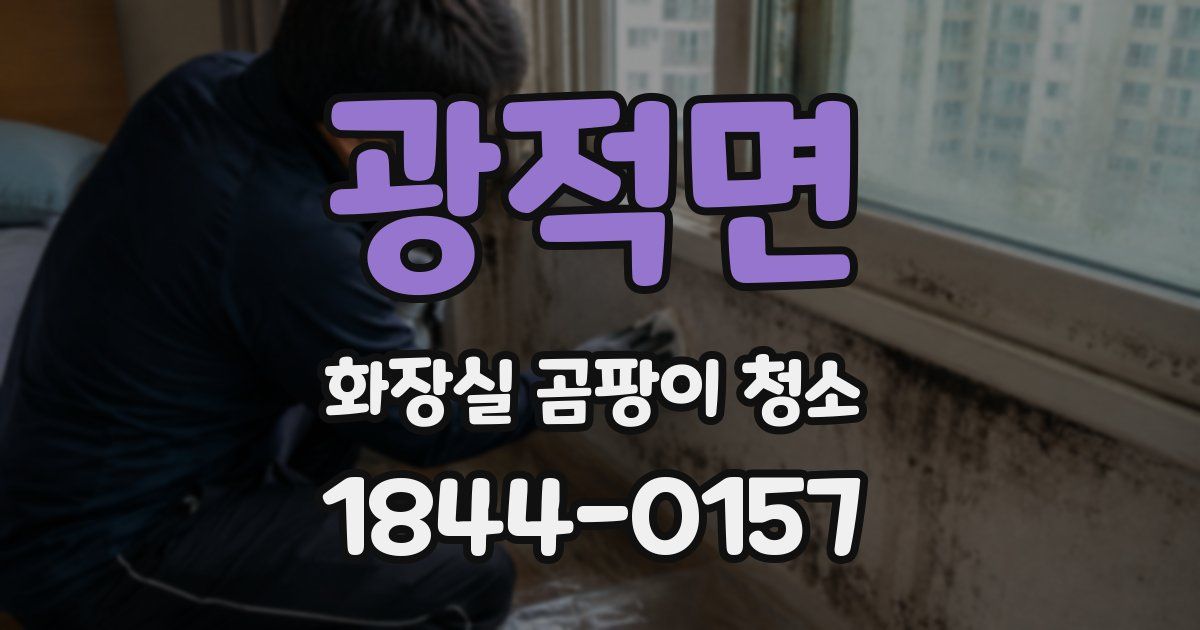 광적면 화장실 곰팡이 청소