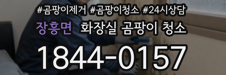 장흥면 화장실 곰팡이 청소