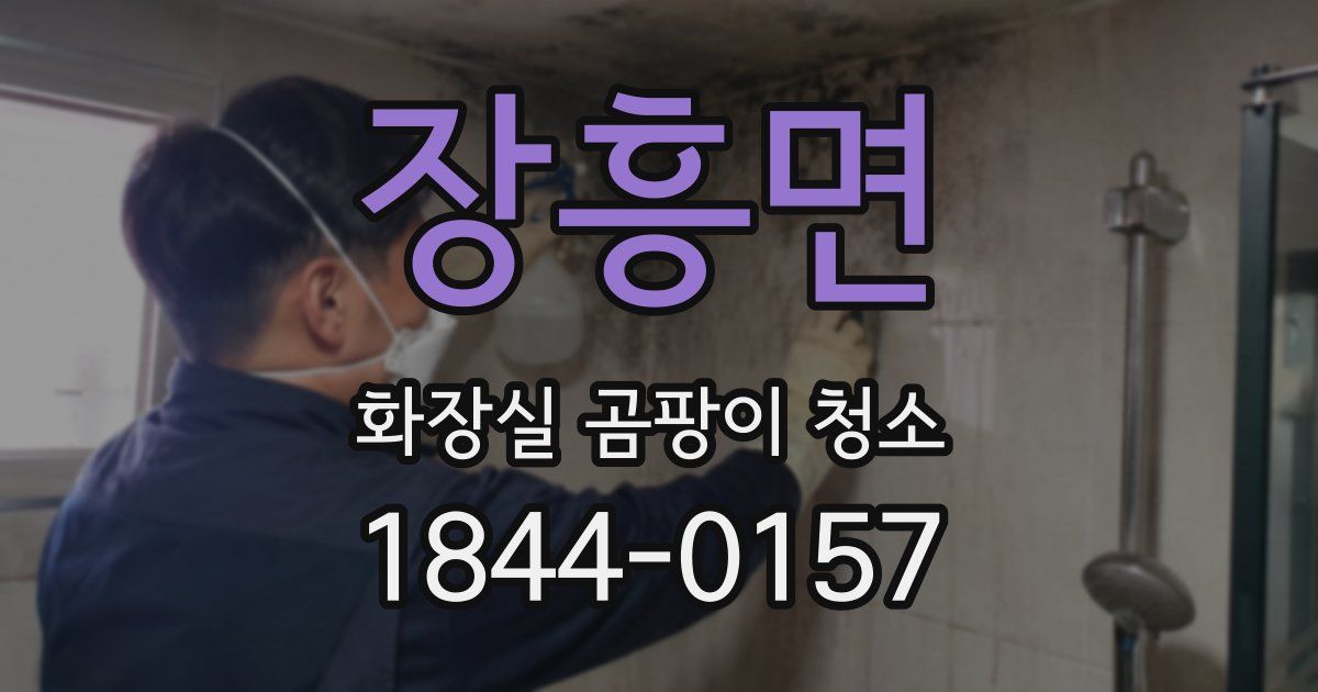 장흥면 화장실 곰팡이 청소