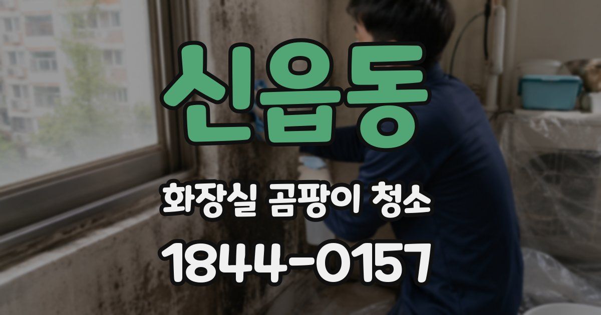 신읍동 화장실 곰팡이 청소