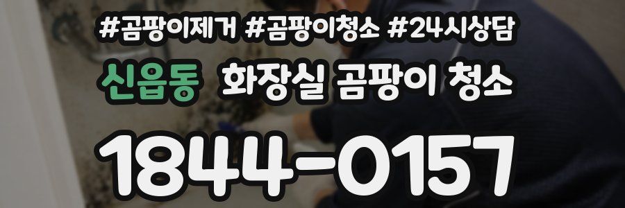 신읍동 화장실 곰팡이 청소
