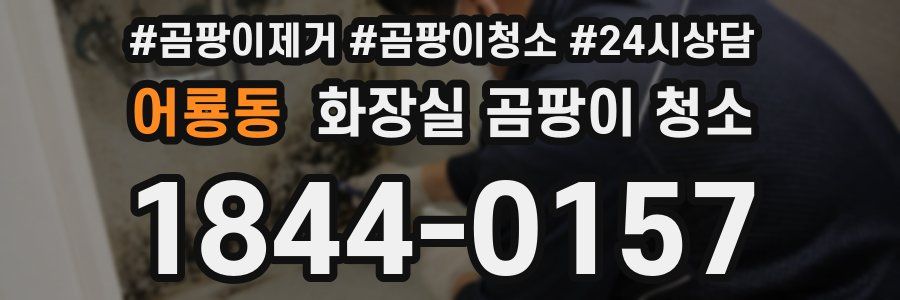 어룡동 화장실 곰팡이 청소