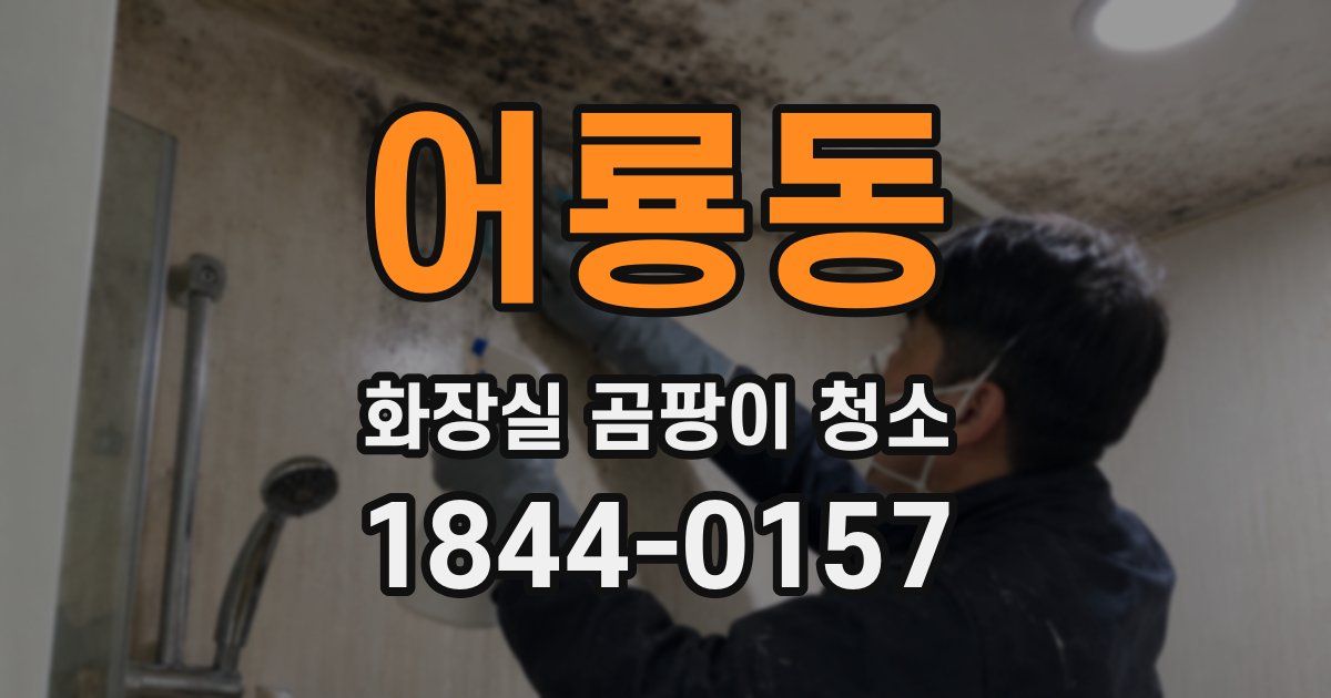 어룡동 화장실 곰팡이 청소
