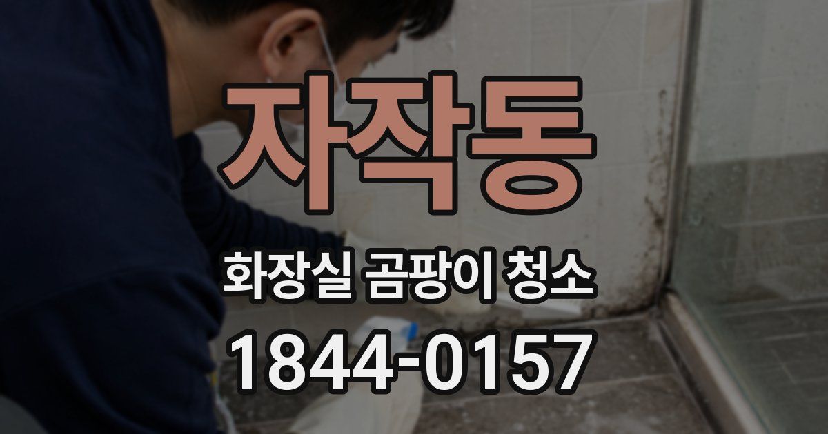 자작동 화장실 곰팡이 청소