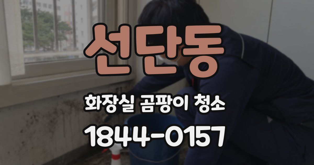 선단동 화장실 곰팡이 청소