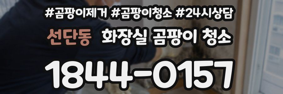 선단동 화장실 곰팡이 청소