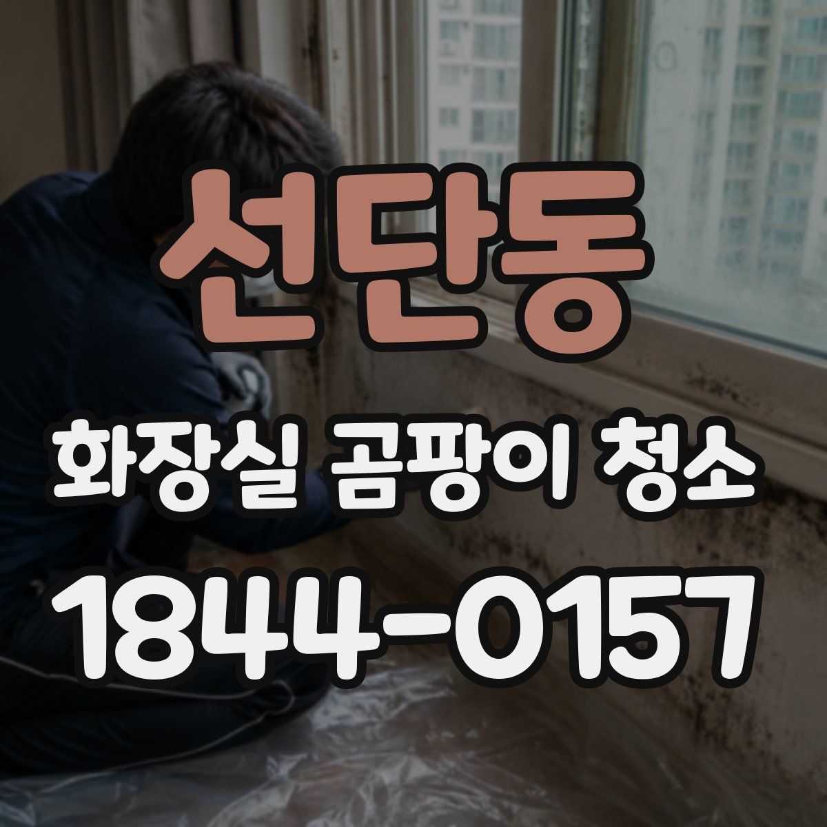 선단동 화장실 곰팡이 청소