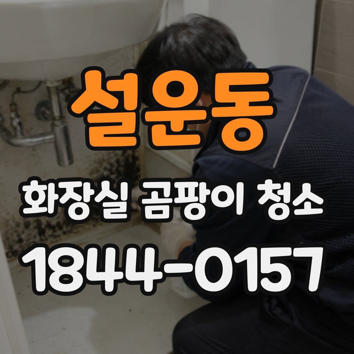 설운동 화장실 곰팡이 청소 뒤 재발 흔한 장소와 점검법