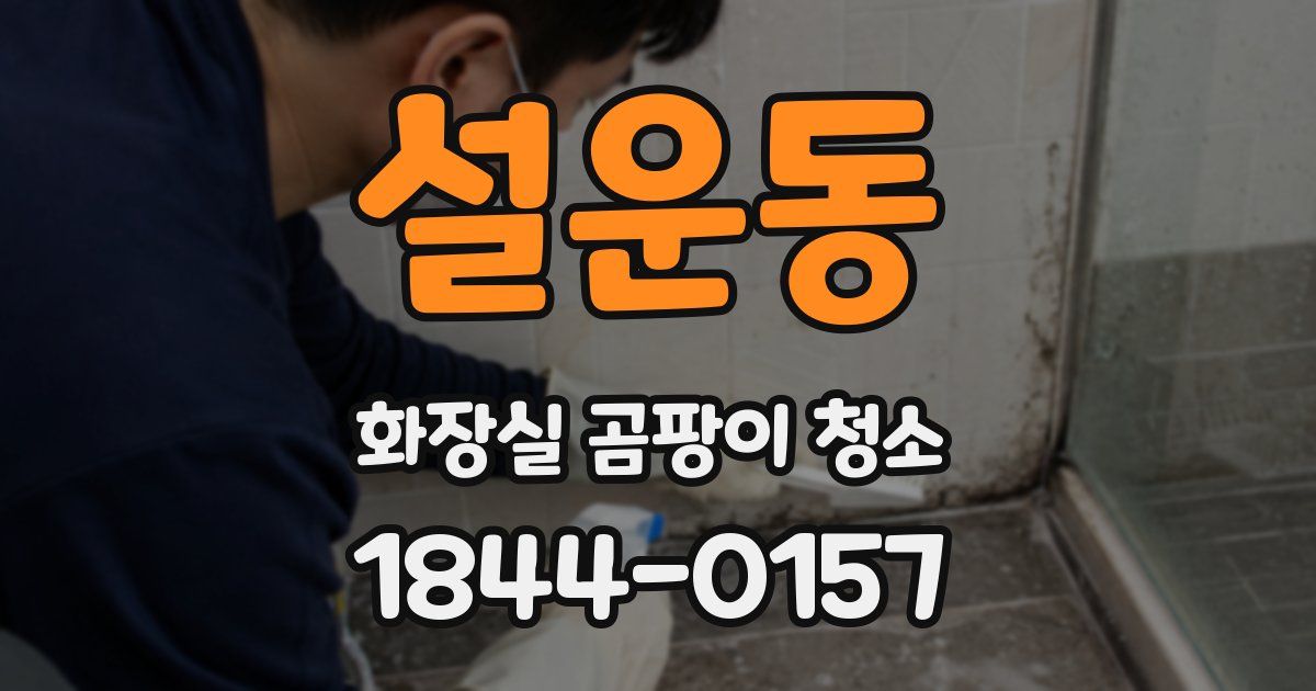 설운동 화장실 곰팡이 청소
