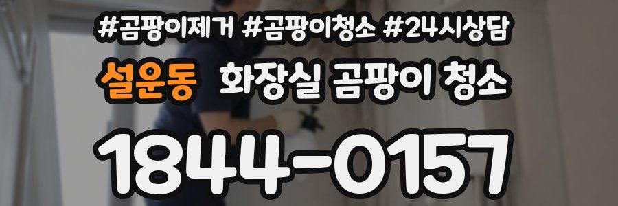 설운동 화장실 곰팡이 청소