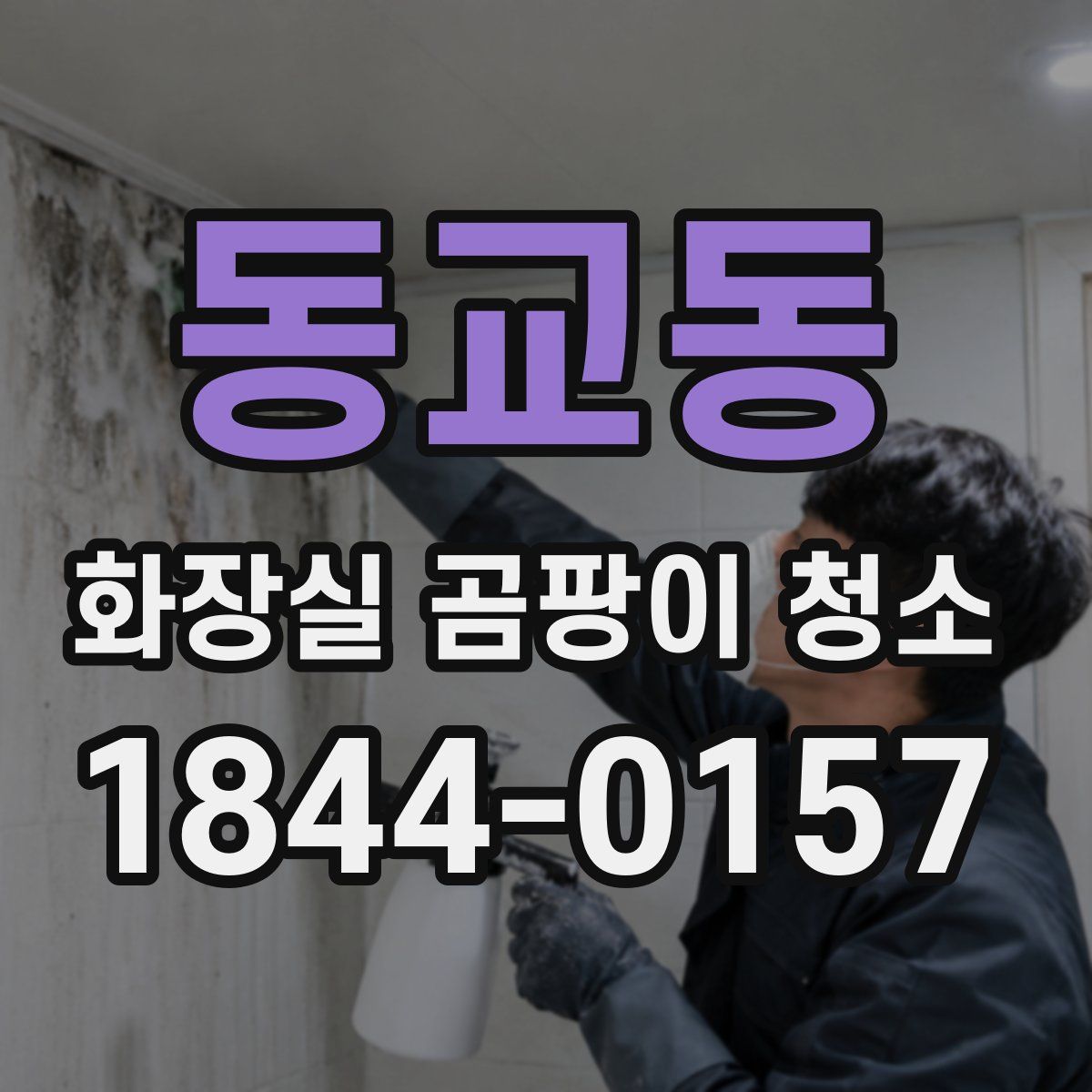 동교동 화장실 곰팡이 청소