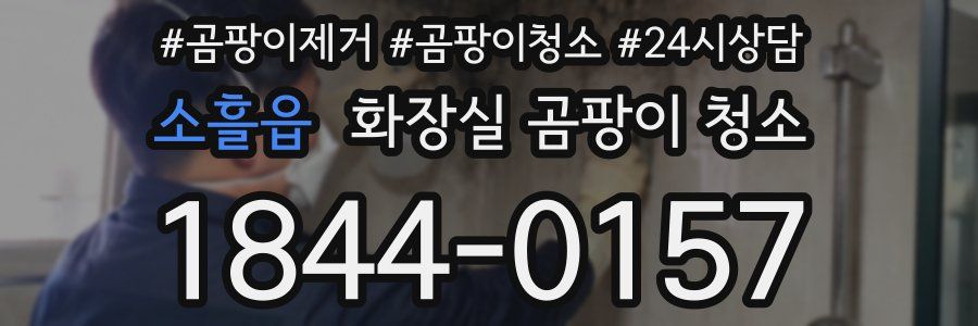 소흘읍 화장실 곰팡이 청소