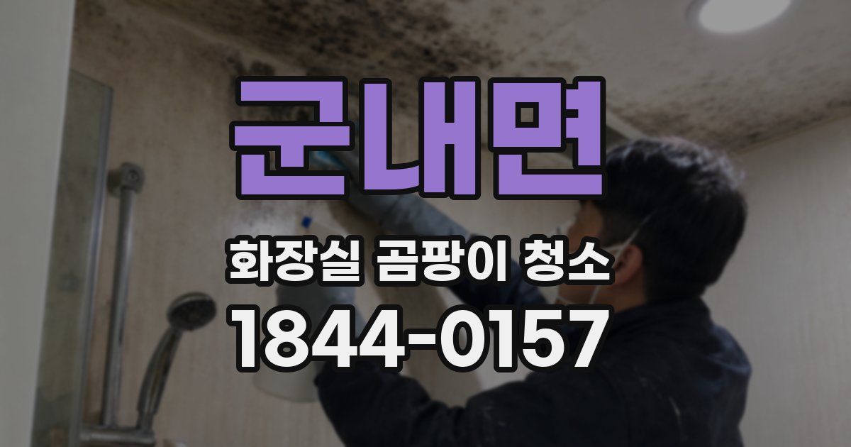군내면 화장실 곰팡이 청소