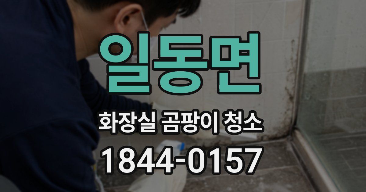 일동면 화장실 곰팡이 청소