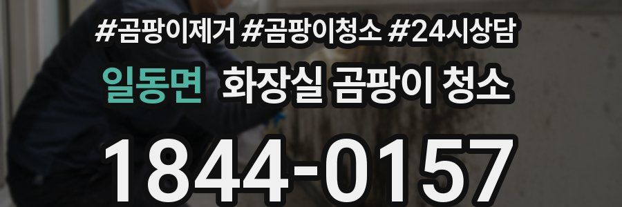 일동면 화장실 곰팡이 청소
