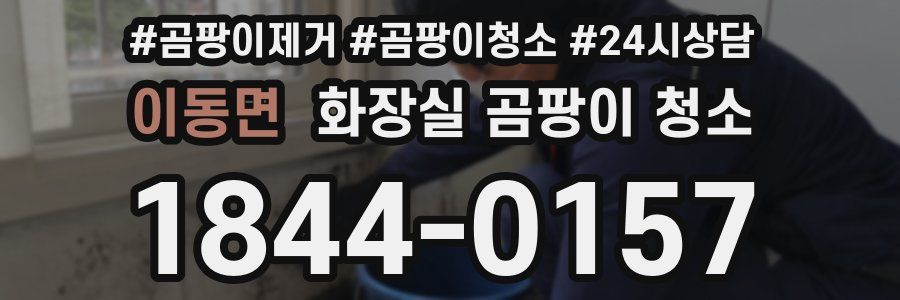 이동면 화장실 곰팡이 청소