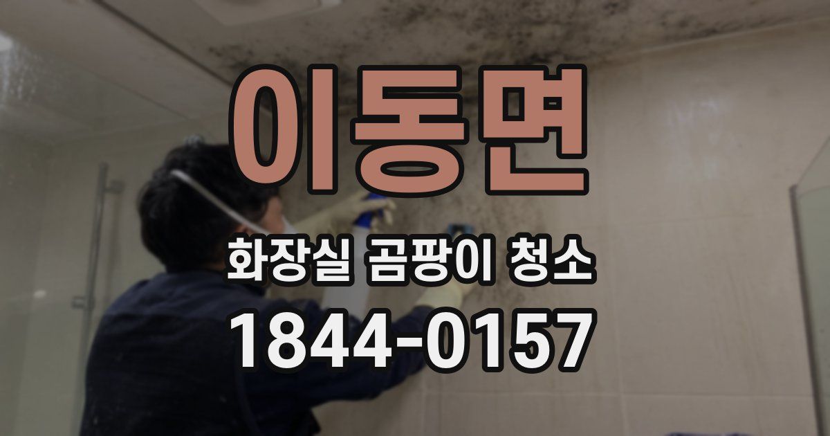 이동면 화장실 곰팡이 청소