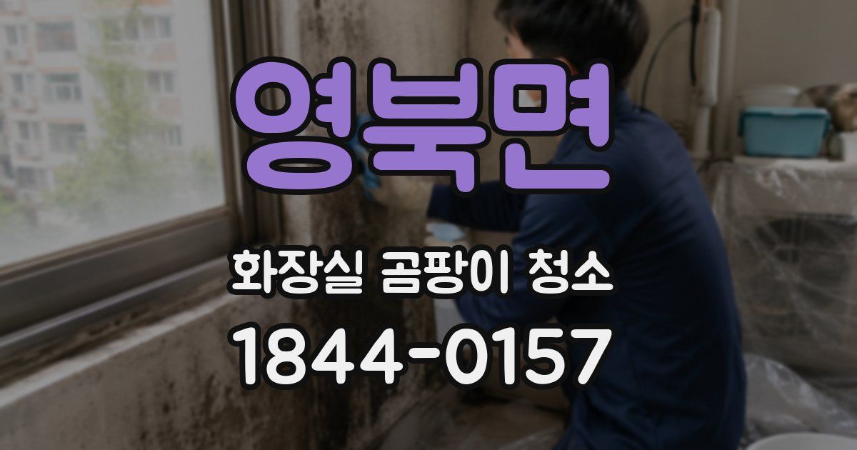 영북면 화장실 곰팡이 청소