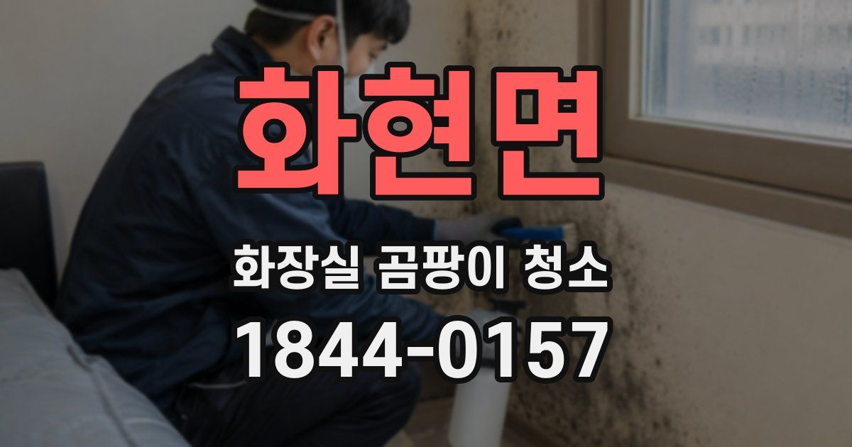 화현면 화장실 곰팡이 청소