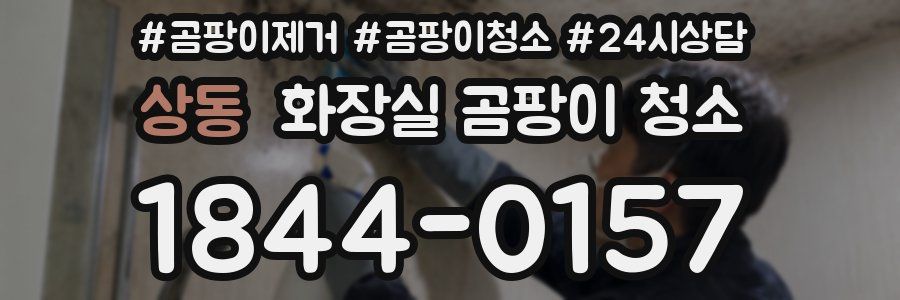 상동 화장실 곰팡이 청소
