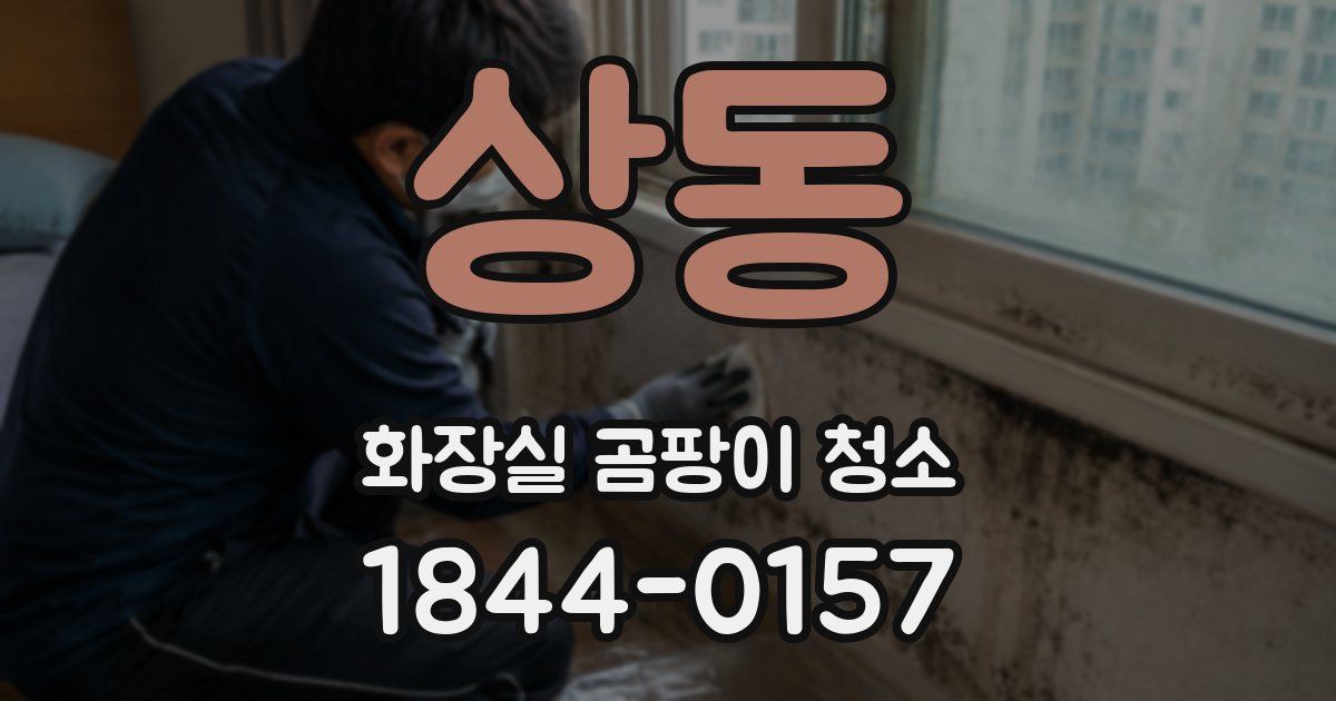 상동 화장실 곰팡이 청소