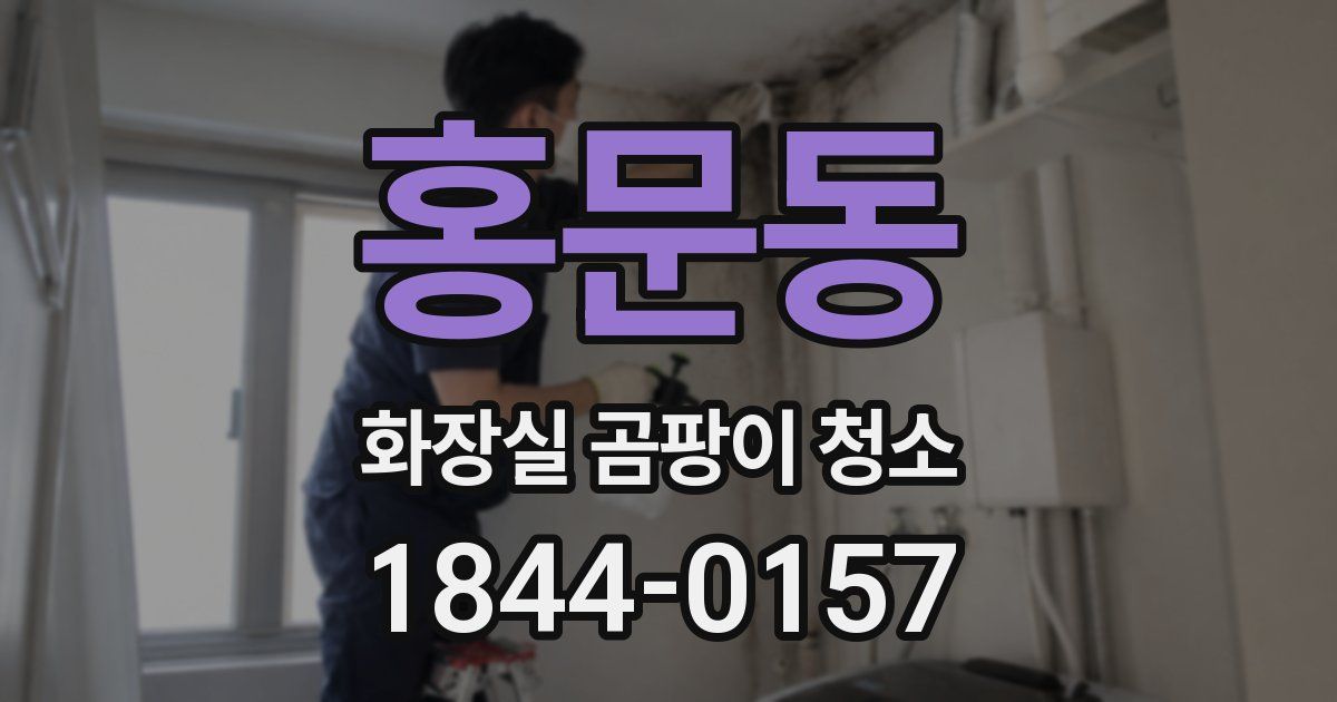 홍문동 화장실 곰팡이 청소